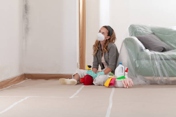 Reliable Commercial Mold Remediation contractor in Shelbyville, MI by WQB Mold Removal